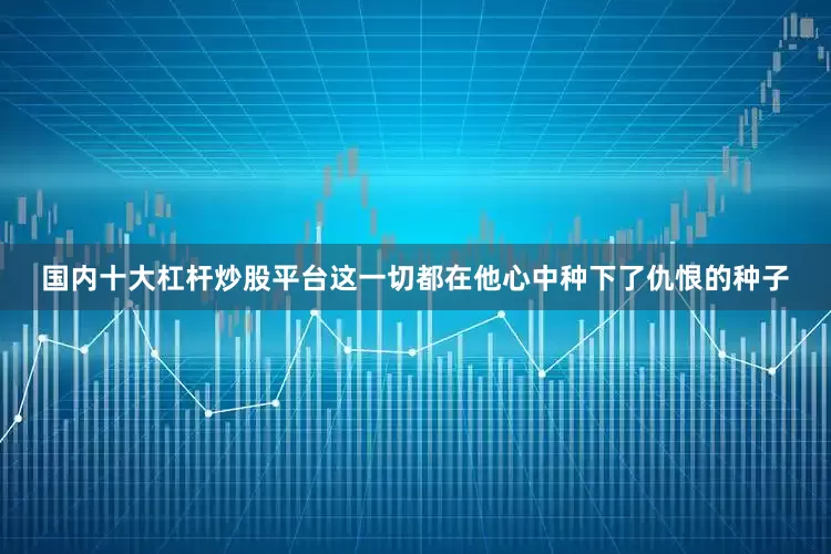 国内十大杠杆炒股平台这一切都在他心中种下了仇恨的种子