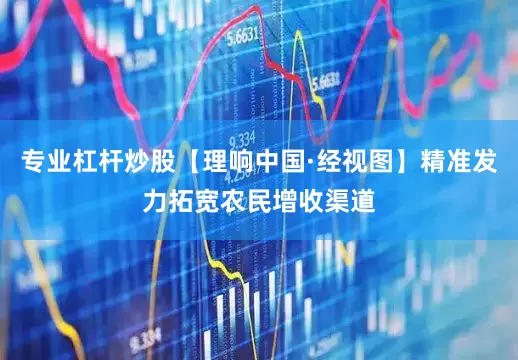 专业杠杆炒股【理响中国·经视图】精准发力拓宽农民增收渠道