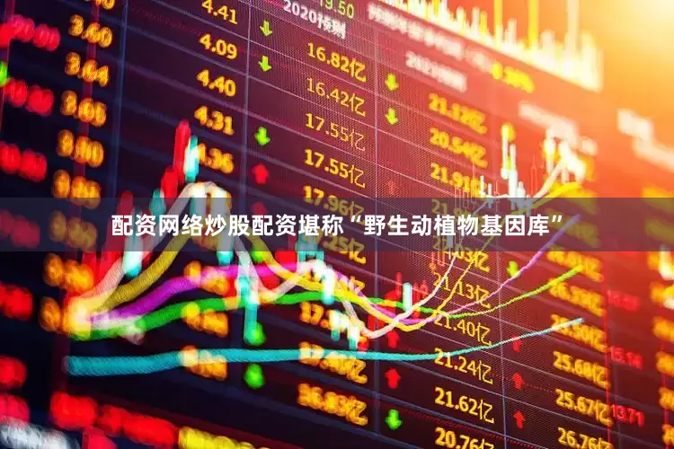 配资网络炒股配资堪称“野生动植物基因库”
