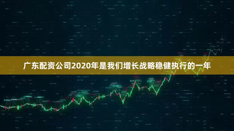 广东配资公司2020年是我们增长战略稳健执行的一年
