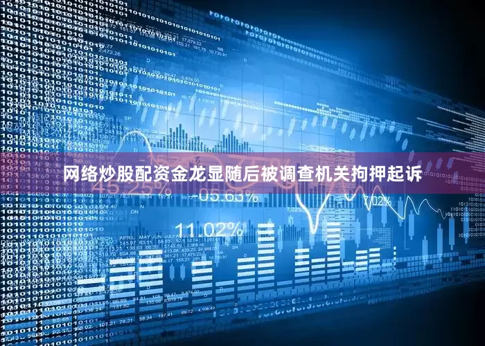 网络炒股配资金龙显随后被调查机关拘押起诉