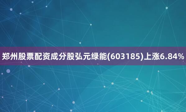 郑州股票配资成分股弘元绿能(603185)上涨6.84%