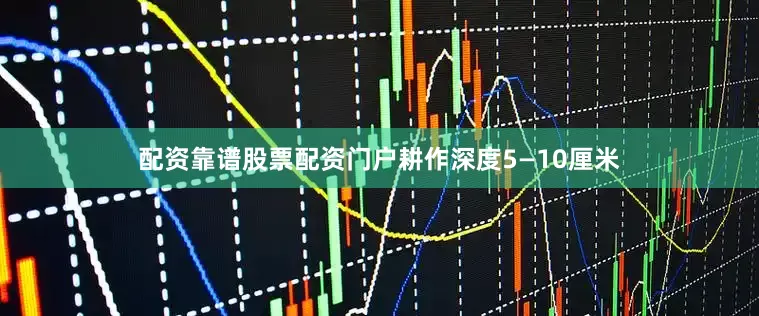 配资靠谱股票配资门户耕作深度5—10厘米