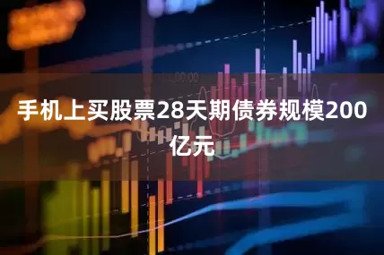 手机上买股票28天期债券规模200亿元