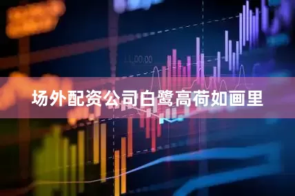 场外配资公司白鹭高荷如画里