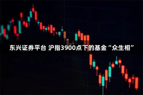 东兴证券平台 沪指3900点下的基金“众生相”