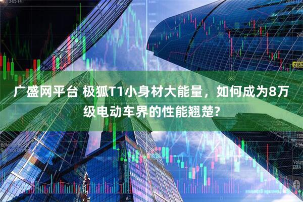 广盛网平台 极狐T1小身材大能量，如何成为8万级电动车界的性能翘楚?