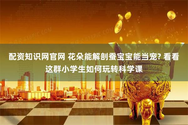 配资知识网官网 花朵能解剖蚕宝宝能当宠? 看看这群小学生如何玩转科学课