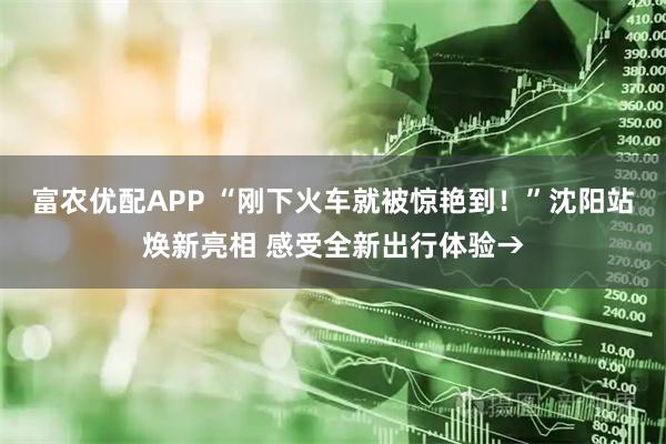 富农优配APP “刚下火车就被惊艳到！”沈阳站焕新亮相 感受全新出行体验→